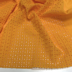 Прошва Абрикос