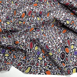 Софт «Жар-птиця»